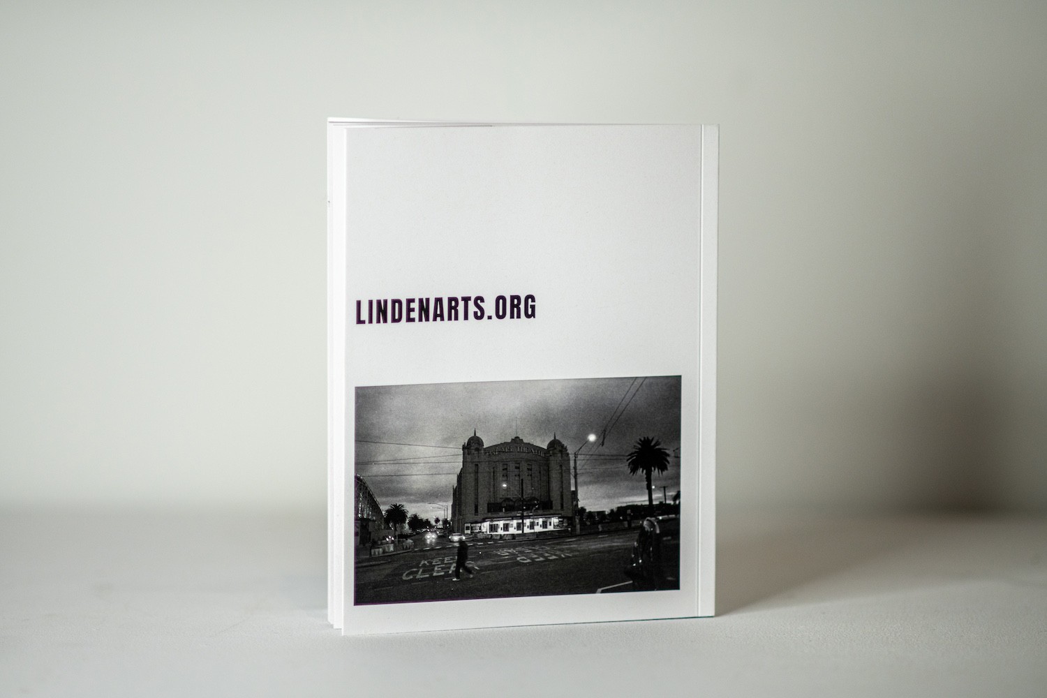 After Dark At Luna Park Photo Book