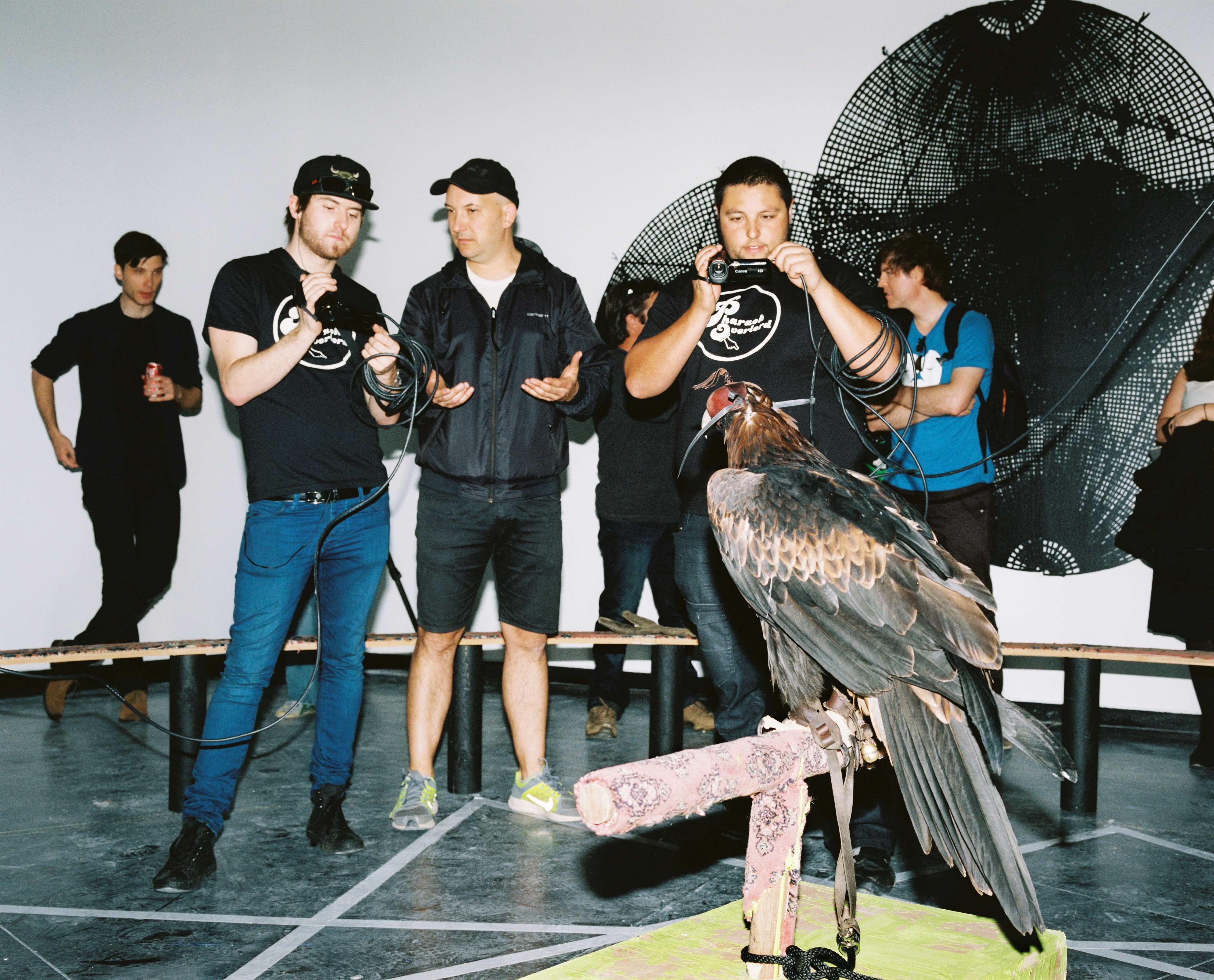 Meet the Artist > Lane Cormick