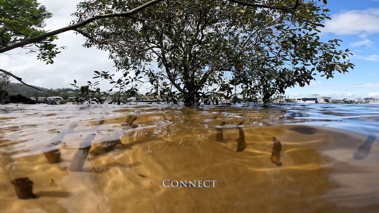 Girt (by Sea) Solstice