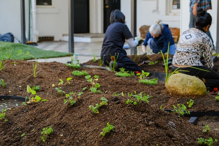 Opening of The LEAF Garden
