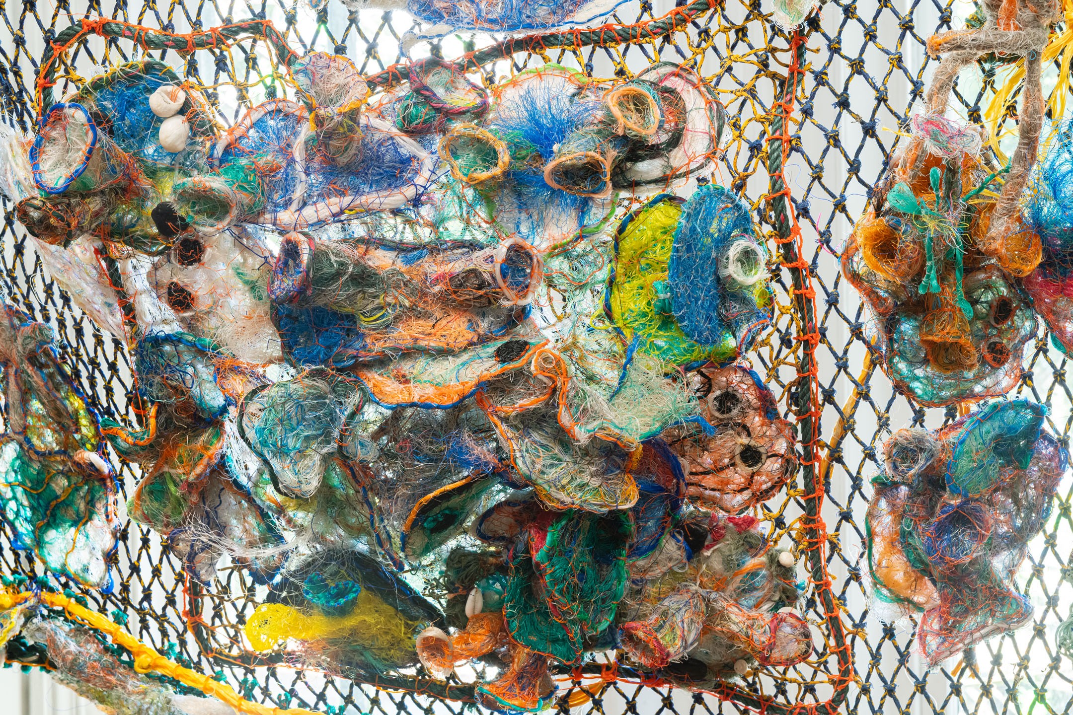 Sea Star Making with Bianca Easton