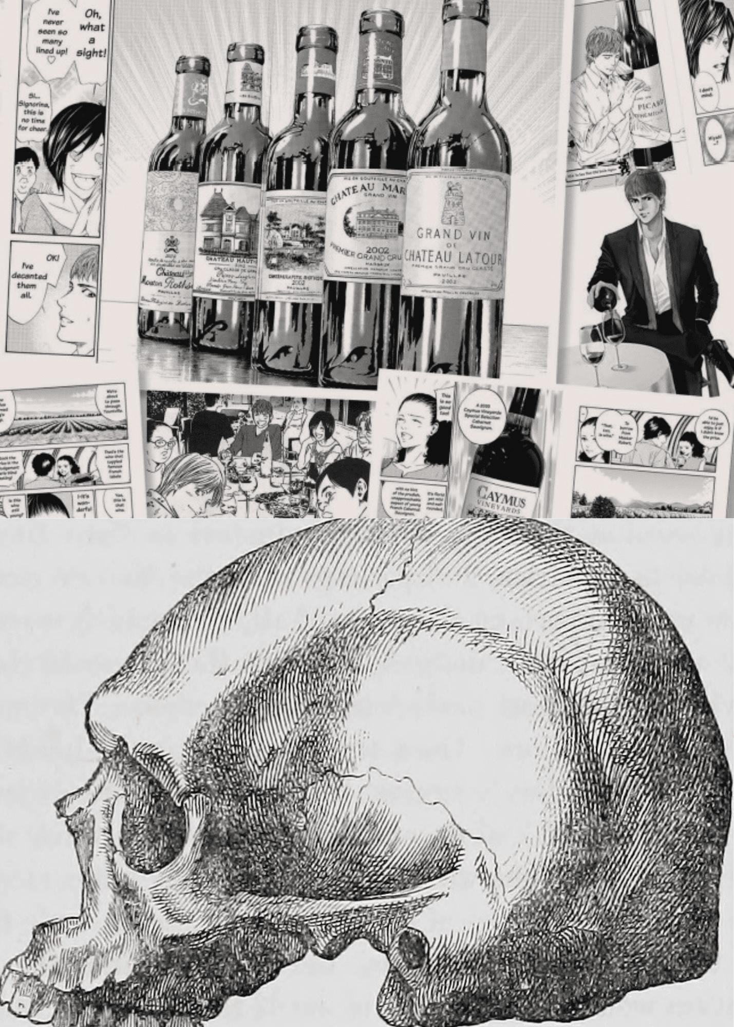 Strange Bedfellows &gt; Manga vs Anthropology