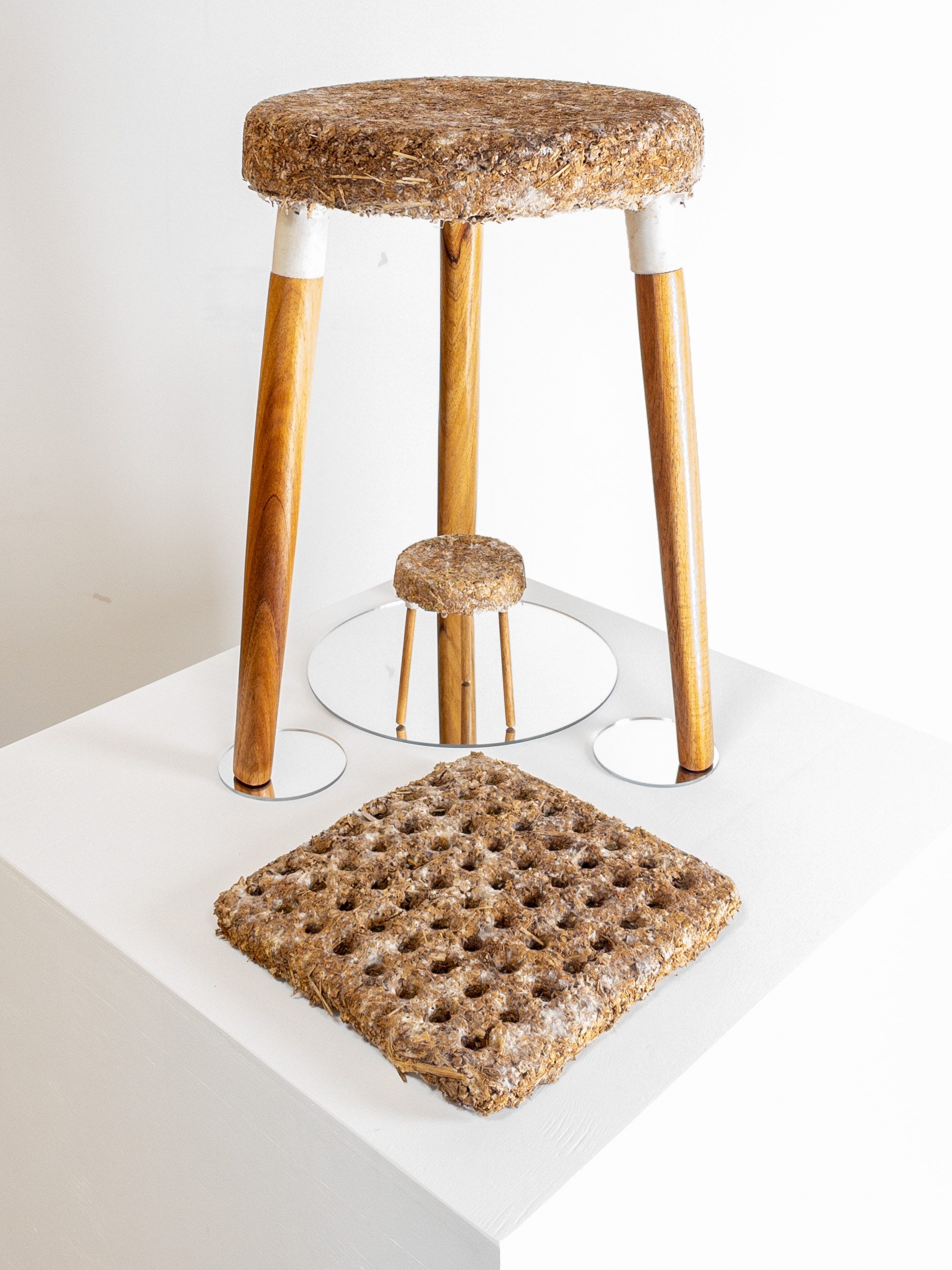 Sam Johnston, Myc-chair prototype