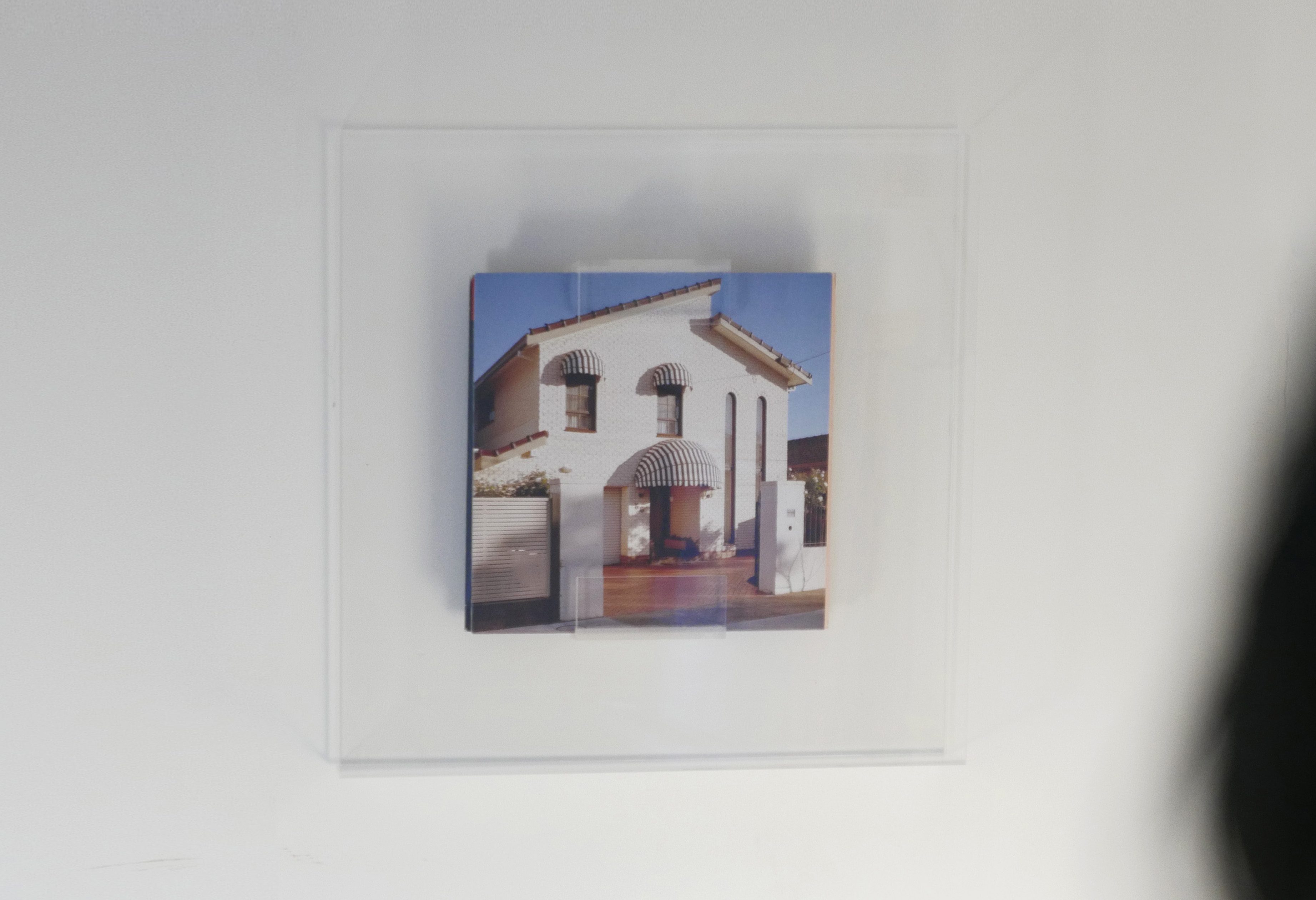 Nadia Cao-Alahananthan, Display, Vinyl
