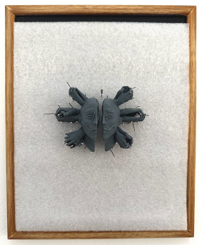 Picassa Barata, Insected