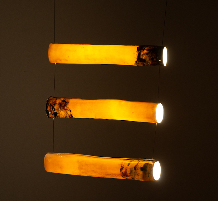 Sarah Tracton, Ladder Light