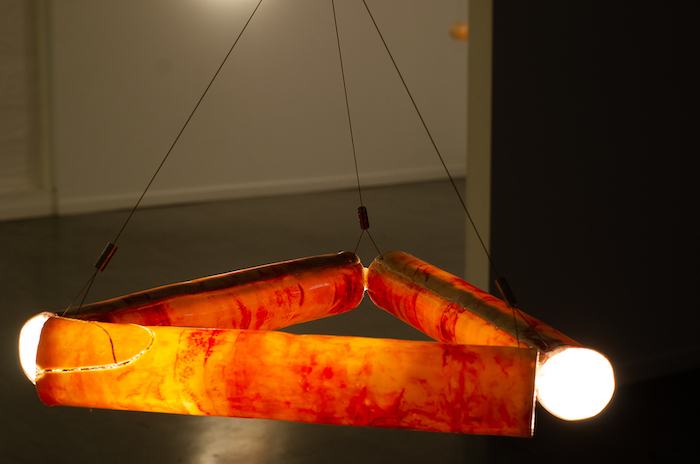 Sarah Tracton, TriVertex