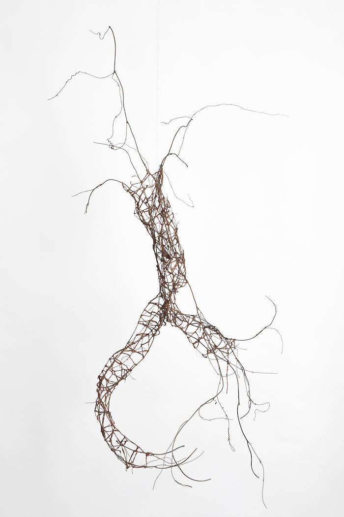 Pattie Beerens, nature 2.0 (clay weaving with Dodder Laurel vine)