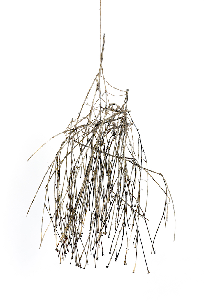 Pattie Beerens, nature 2.0 (clay weaving with roots from endangered Moonah trees