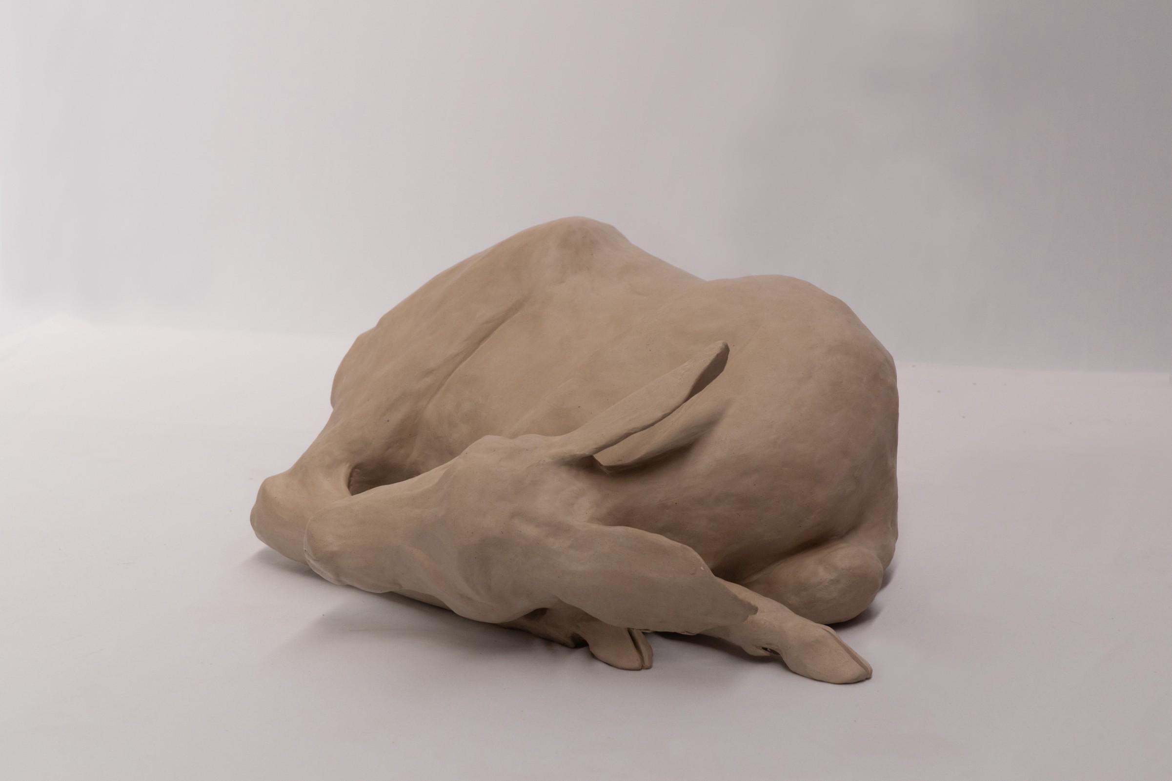 A life-size sculpture of a deer, made from unfired clay, lays huddled against a grey backdrop.