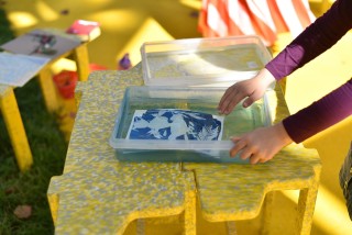 Sunday Sessions > CYANOTYPE WORKSHOP