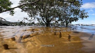 Lisa Anderson > Girt (by Sea) Solstice