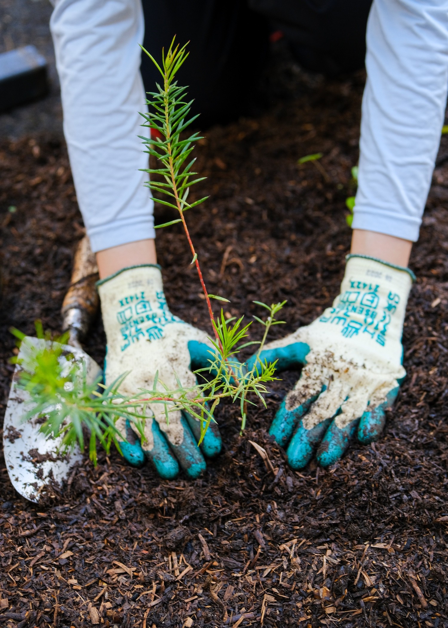 The LEAF Garden Opening