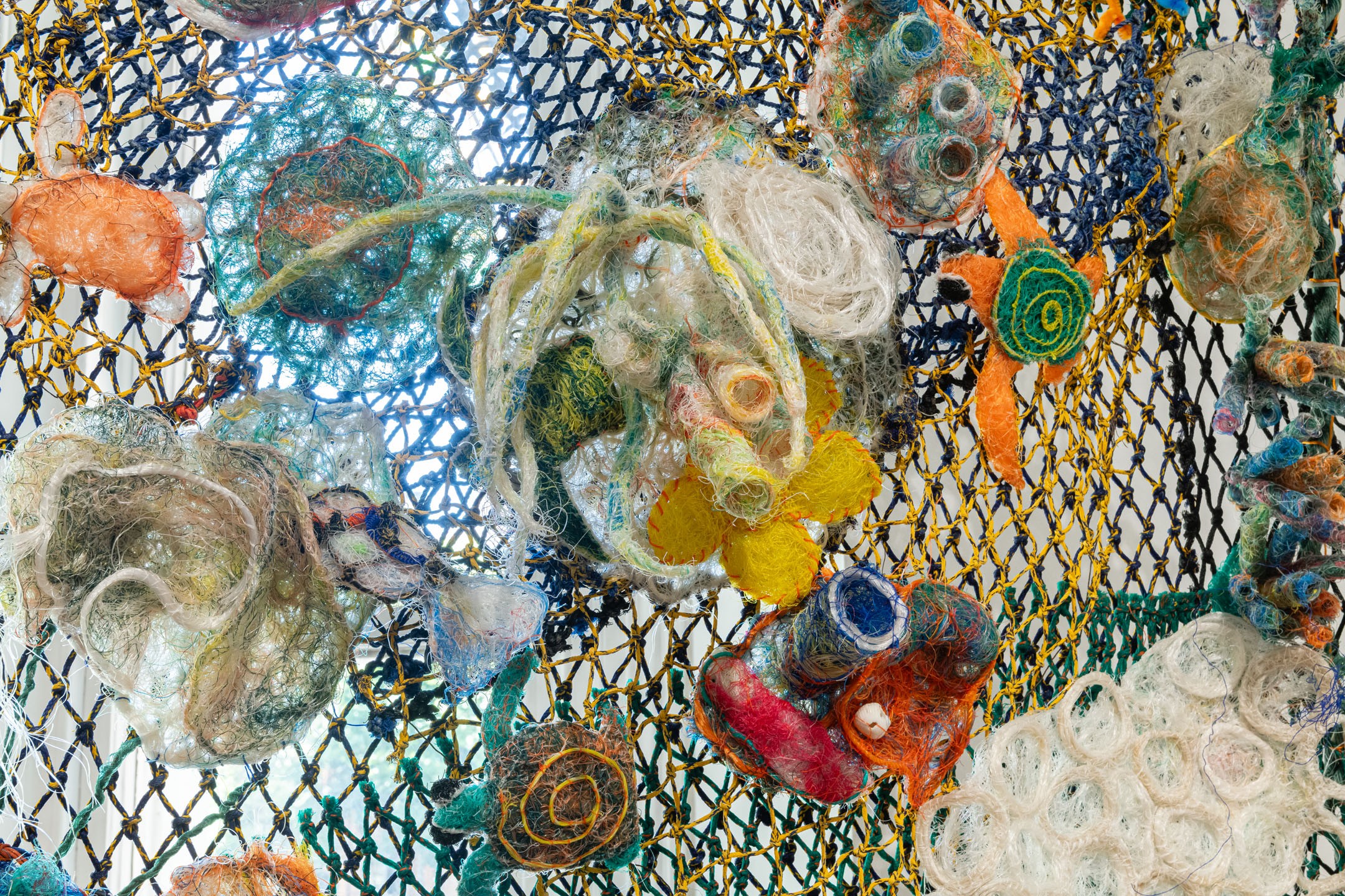 Starfish Making with Bianca Easton