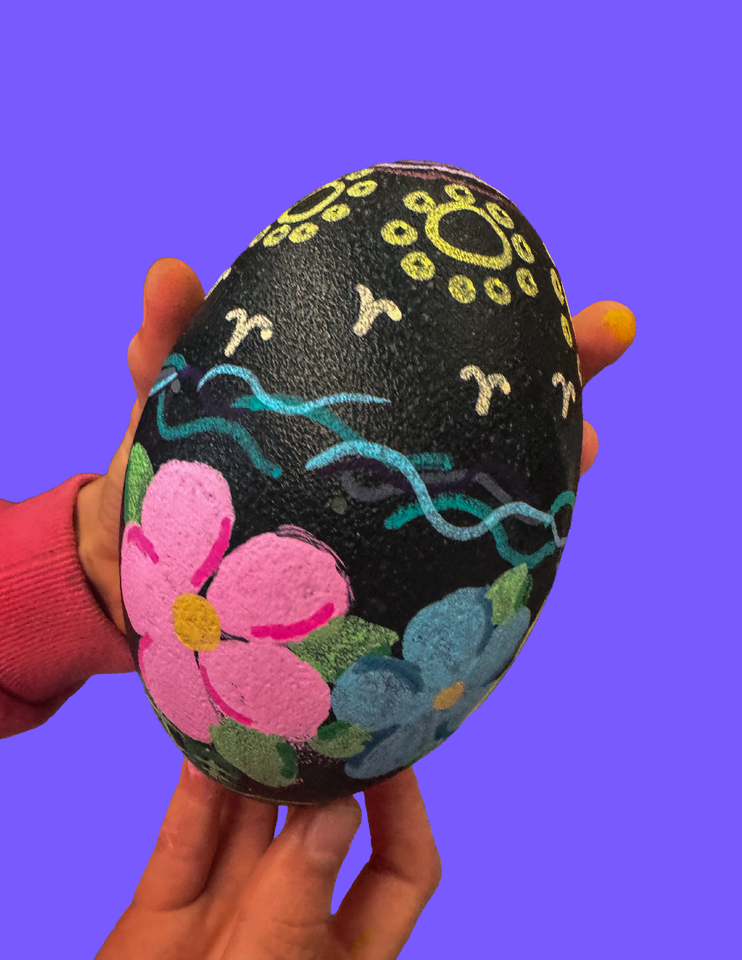 Emu Egg Painting with Amber
